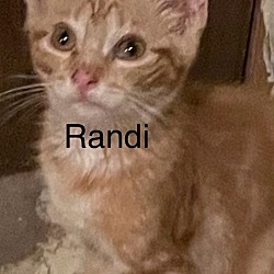 Photo of Randi