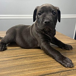 Photo of Wybie (p)