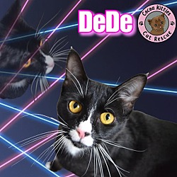 Photo of DeDe
