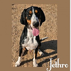 Photo of Jethro