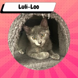 Thumbnail photo of Luli-Loo #4