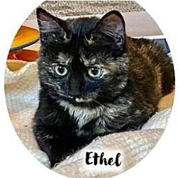Thumbnail photo of Ethel #1
