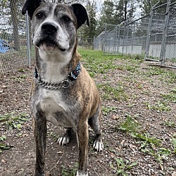 Photo of Ralph