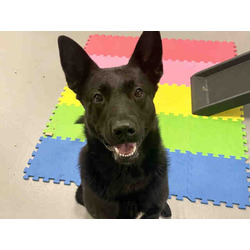 Photo of BANJO