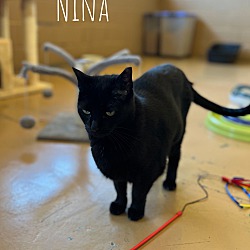 Thumbnail photo of Nina #3