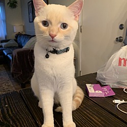 Photo of Myles 