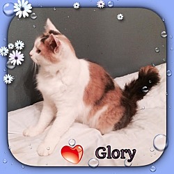 Thumbnail photo of Glory #2