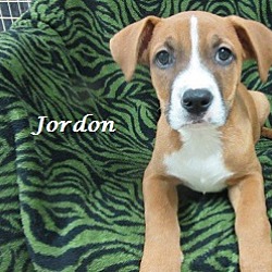 Thumbnail photo of Jordon #2