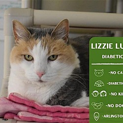 Photo of Lizzie Lulu