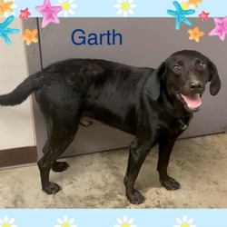 Thumbnail photo of Garth #3