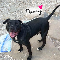 Thumbnail photo of Danny #1