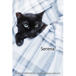 Thumbnail photo of Serena #2