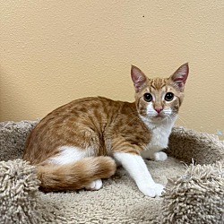 Photo of Oliver