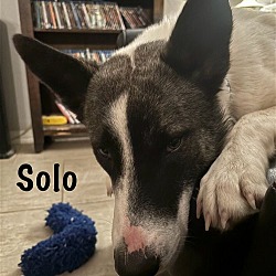 Photo of Solo 3090