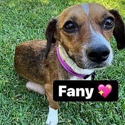 Photo of Fany