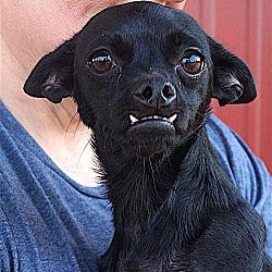 Photo of Stormy
