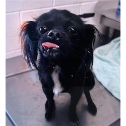 Photo of PRADA