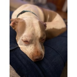 Photo of Titus