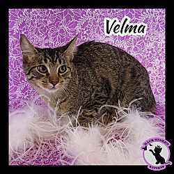 Photo of Velma Do