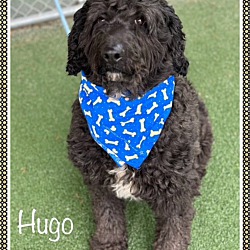 Thumbnail photo of HUGO #1