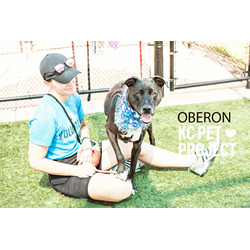 Thumbnail photo of Oberon #2