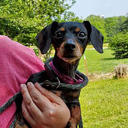 Photo of Beatrice aka BB