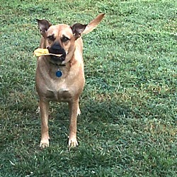 Photo of Remi