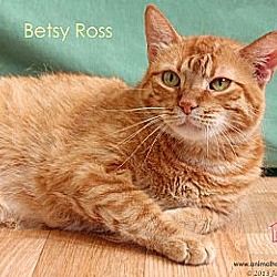 Thumbnail photo of Betsy Ross #3