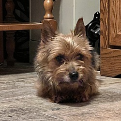 Photo of Tucker