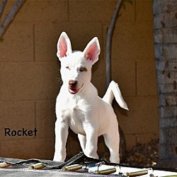 Thumbnail photo of Rocket #4