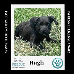 Thumbnail photo of Hugh (Small Fries) 050424 #4