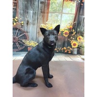 adopt-pet