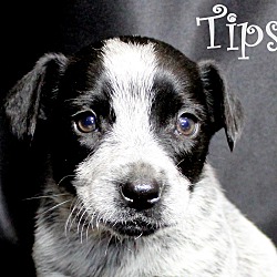 Thumbnail photo of Tipsy~meet me! #2