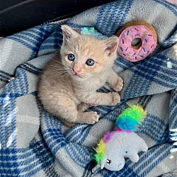 Photo of Butters