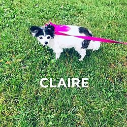Thumbnail photo of CLAIRE #1
