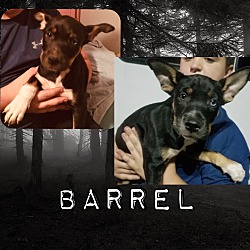 Photo of Barrel