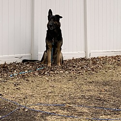 Photo of Chuck