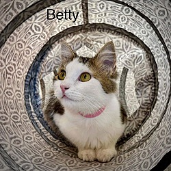 Thumbnail photo of Betty #1