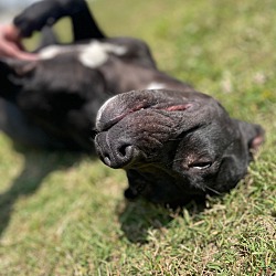 Photo of Happy