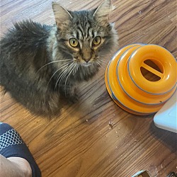 Photo of Molly