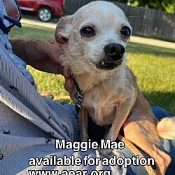 Thumbnail photo of Maggie Mae #4