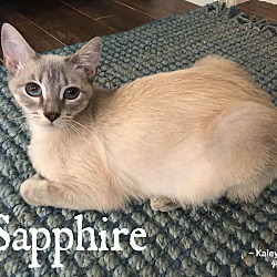 Thumbnail photo of Sapphire #1