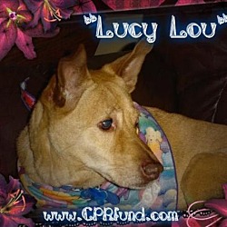 Thumbnail photo of Lucy Lou #2