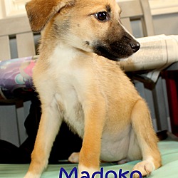 Thumbnail photo of Madoko ~ meet me! #4