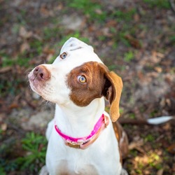 Photo of Bibbity Bobbity Boo