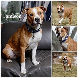 Thumbnail photo of Jamison #1