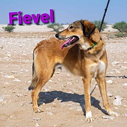 Photo of Fievel