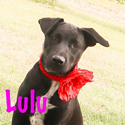 Thumbnail photo of LULU #2
