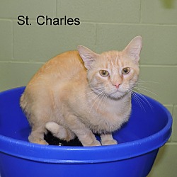 Thumbnail photo of St. Charles #2
