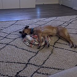 Photo of Coco